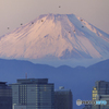朝焼けに染まった富士山