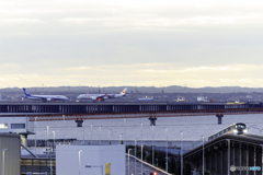 大谷ジェット、早朝からご活躍