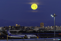 満月が沈む羽田空港1