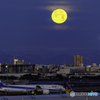 満月が沈む羽田空港1