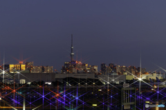 夜明け前の羽田空港