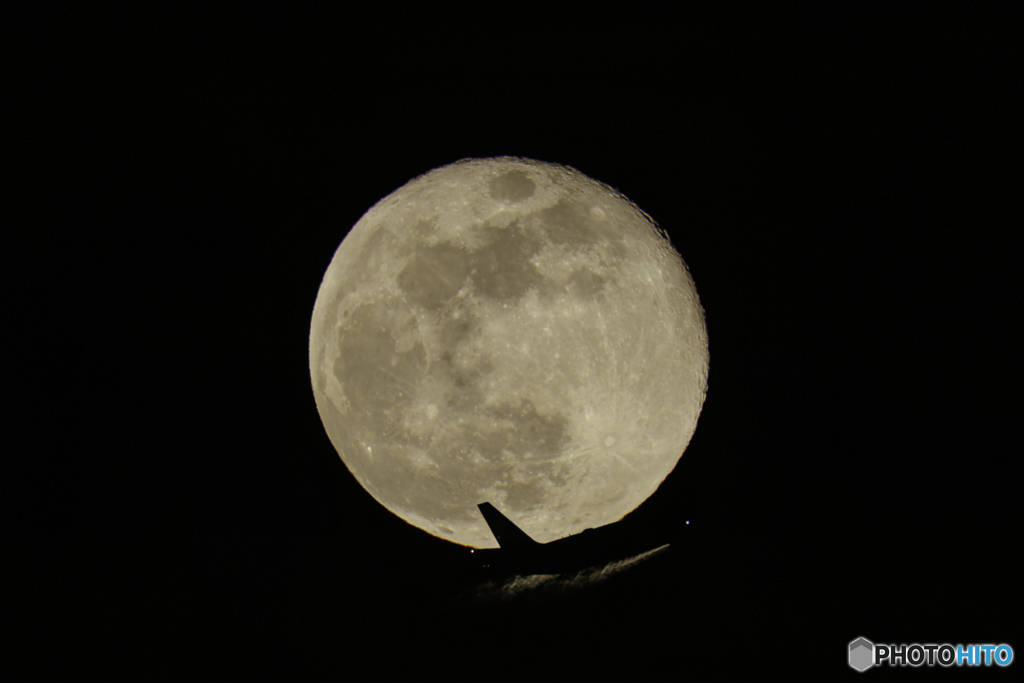 月丼かすりました