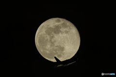 月丼かすりました