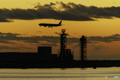 政府専用機の帰還