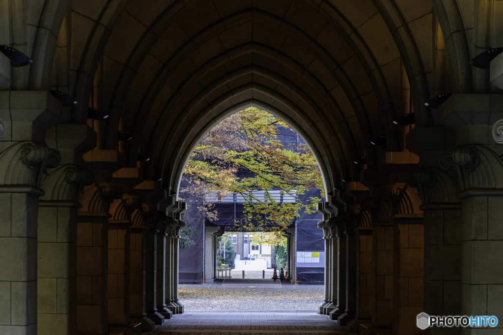 東大本郷キャンパスの紅葉3