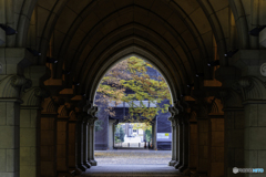 東大本郷キャンパスの紅葉3