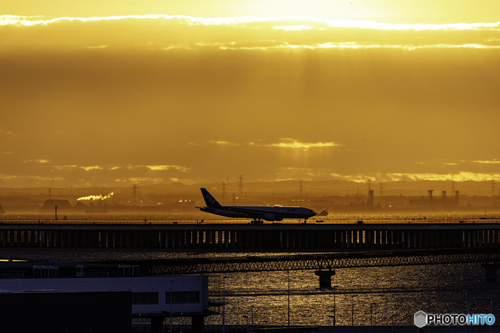 朝陽に照らされて1