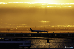 朝陽に照らされて1