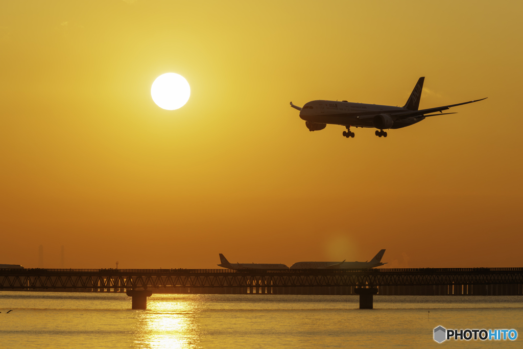 お天道様はキッスを見ています