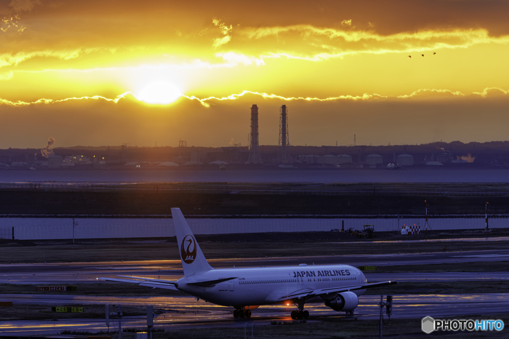朝日で紫色に輝く誘導路