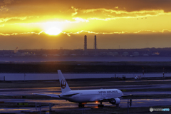 朝日で紫色に輝く誘導路