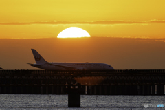 日の出と誘導路2