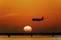 オレンジ世界への着陸1