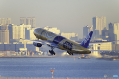 明日がラストフライト1