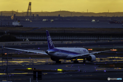 雨上がりの羽田空港の朝