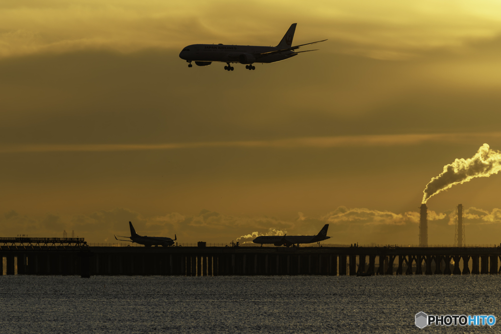 賑やかな朝の始まり