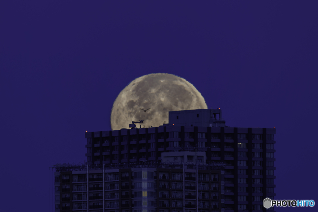 高層マンションに沈む満月