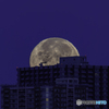 高層マンションに沈む満月