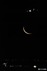 三日月丼に挑戦1