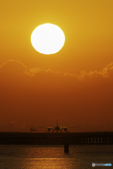 舞台入り前ANA985便