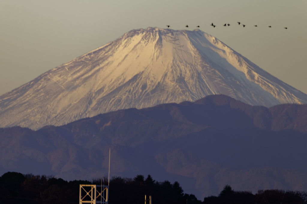 朝陽に照らされた富士山