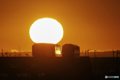朝陽に照らされたモノレール1