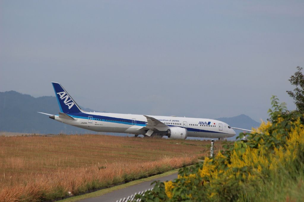秋空へ、青の翼