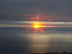 Sight