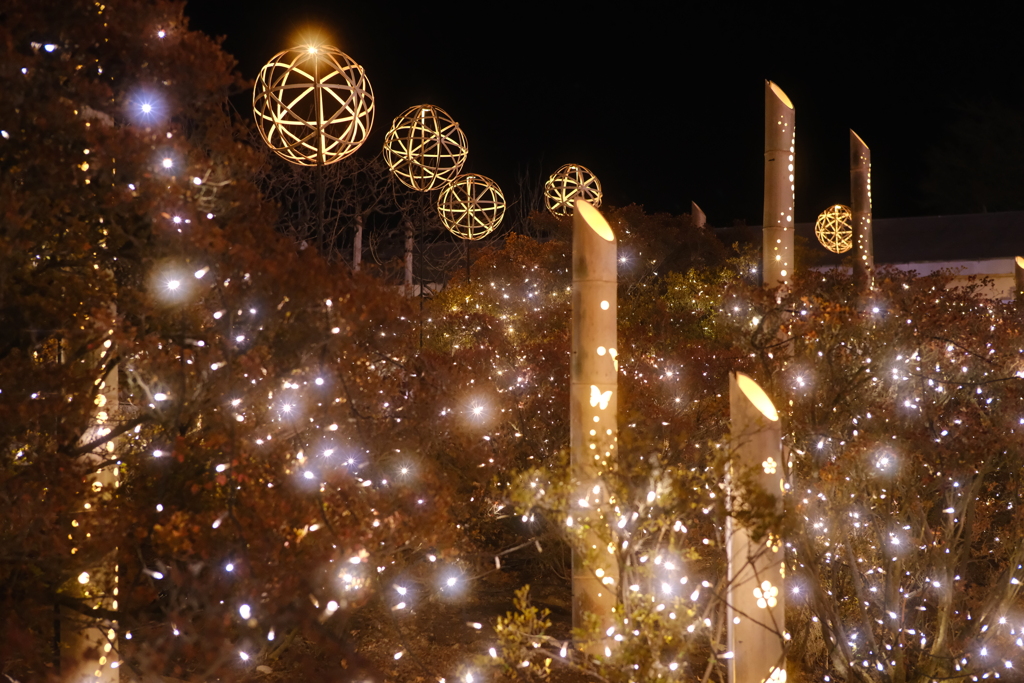 あしかがフラワーパーク　イルミネーション②