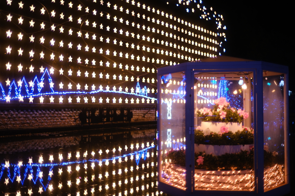 あしかがフラワーパーク　イルミネーション①