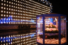 あしかがフラワーパーク　イルミネーション①