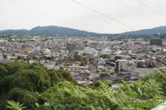 DSC01422