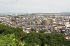DSC01420