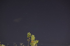 初めて撮影した星空