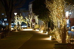 イルミネーション2