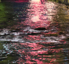 レッドライト