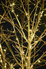 イルミネーション3