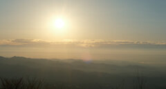 展望台からの眺め