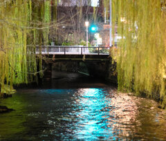 グリーンライト