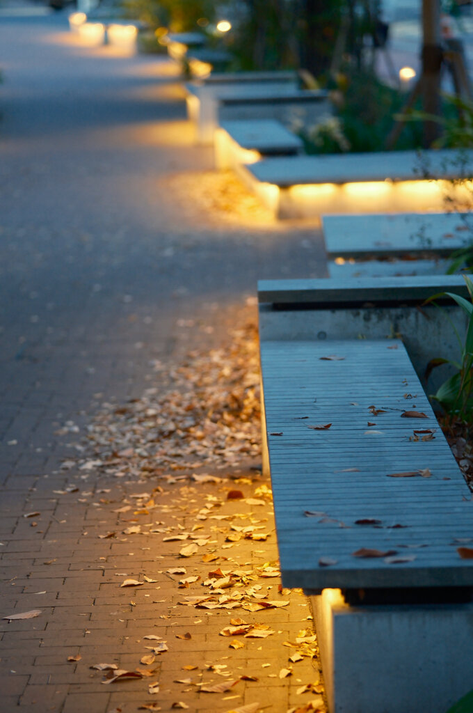 遊歩道のベンチ