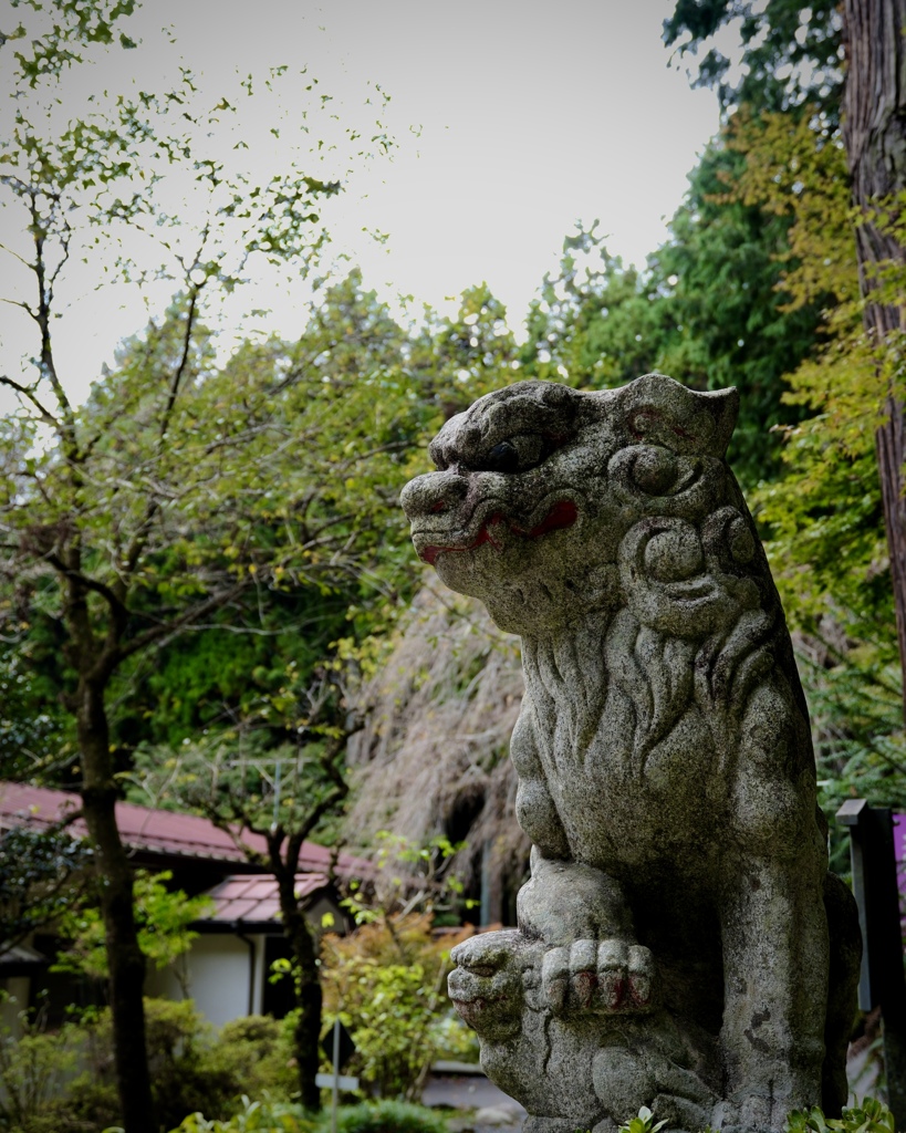 吽形