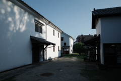 A0003137