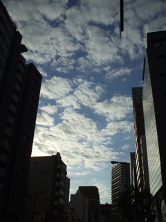 DSCF9341