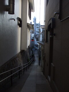 DSCF9194