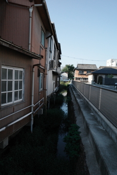 A0003146