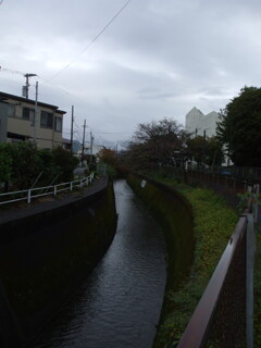 DSCF9344