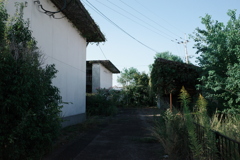 A0003117