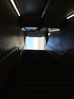 DSCF9169