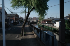 A0003119