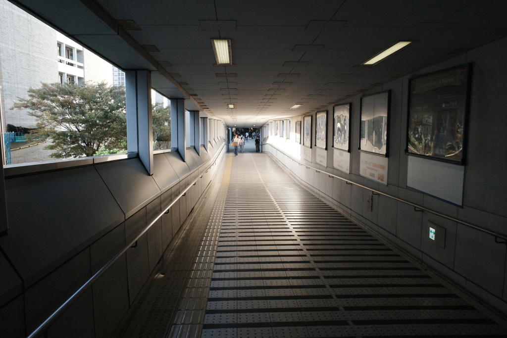 2025.10.15 弁天町駅→オークへ